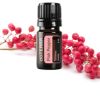 Tinh Dầu hạt tiêu hồng sức khỏe hệ thần kinh, hô hấp, tiêu hóa, miễn dịch Pink Pepper (TDĐ12)