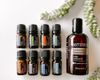 Dầu dừa phân đoạn dưỡng da, pha loãng với dầu nguyên chất Coconut Oil doTerra (CSCT07)