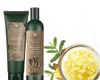 Dầu gội xả gừng hà thủ ô ngăn rụng tóc Wei04