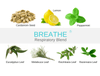 Thúc đẩy đường hô hấp, đường thở thông thoáng và dễ thở dōTerra Breathe® Touch (TDHH29)