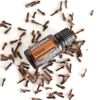 Tinh dầu Đinh hương Clove (TDĐ47)