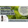 Dầu linh sam Siberian Fir (TDĐ16)