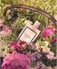 Nước hoa Nữ Gucci Bloom Eau de Parfum For Her (Ý) NH52