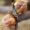Tinh dầu Đinh hương Clove (TDĐ47)
