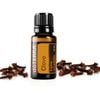 Tinh dầu Đinh hương Clove (TDĐ47)