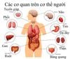 Phục hồi, sửa chữa và hồi sinh cơ thể - Phức hợp tế bào DDR Prime® Softgels (TPCN09)