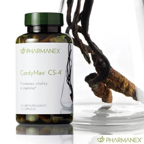CORDYMAX CS-4 ĐÔNG TRÙNG HẠ THẢO (NUK67)