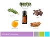 Tinh dầu uống bảo vệ các mối đe dọa từ môi trường, thời tiết xấu, nâng cao hệ miễn dịch khỏe mạnh dōTERRA On Guard® Oil (TDHH39)