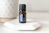 Tinh dầu quả bách xù Juniper Berry hỗ trợ sạch thận, chức năng thận và đường tiết niệu khỏe mạnh.(TDĐ61)