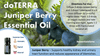 Tinh dầu quả bách xù Juniper Berry hỗ trợ sạch thận, chức năng thận và đường tiết niệu khỏe mạnh.(TDĐ61)