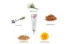 Thuốc mỡ sơ cứu đa năng - khi da bạn bị tổn thương, điều chỉnh phục hồi các vết thương Correct-X® (CSCT05)