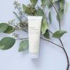 Sữa rửa mặt Tinh dầu Tràm trà và Bạc Hà nguyên chất làm sạch tự nhiên Facial Cleanser doTerra (CSD09)