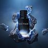 Nước Hoa Nam Christian Dior Sauvage (Pháp) NH31