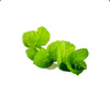 Hạt bạc hà thơm miệng, hô hấp, tiêu hóa, dạ dày, say tàu xe Peppermint Beadlet (TDĐ34)