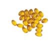 Phục hồi, sửa chữa và hồi sinh cơ thể - Phức hợp tế bào DDR Prime® Softgels (TPCN09)