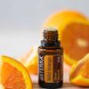 Tinh dầu cam hoang dã uống làm sạch cơ thể, hệ miễn dịch mạnh mẽ Wild orange (TDĐ06)