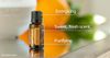 Tinh dầu cam hoang dã uống làm sạch cơ thể, hệ miễn dịch mạnh mẽ Wild orange (TDĐ06)