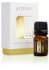 Tinh dầu nguyên chất và tự nhiên hoa nhài Jasminum TDĐ78