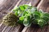 Tinh dầu rau kinh giới Oregano (TDĐ59)
