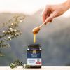 Mật ong Manuka Health MGO 30+ Manuka Honey Blend 500g (New Zealand) HOT180
