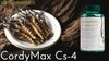 CORDYMAX CS-4 ĐÔNG TRÙNG HẠ THẢO (NUK67)