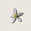 Tinh Dầu Hoa Cam Neroli ALQ147