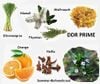 Phục hồi, sửa chữa và hồi sinh cơ thể - Phức hợp tế bào DDR Prime® Softgels (TPCN09)