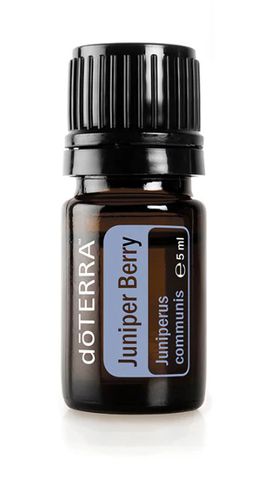 Tinh dầu quả bách xù Juniper Berry hỗ trợ sạch thận, chức năng thận và đường tiết niệu khỏe mạnh.(TDĐ61)