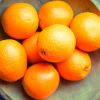 Tinh dầu cam hoang dã uống làm sạch cơ thể, hệ miễn dịch mạnh mẽ Wild orange (TDĐ06)