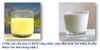 Sữa non Alpha Lipid Lifeline (HOT05)