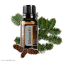 Dầu linh sam Siberian Fir (TDĐ16)