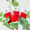 Thực phẩm bổ sung sức khỏe V Trition chăm sóc nuôi dưỡng đường ruột khỏe mạnh (Malaysia) HOT178