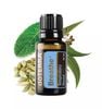 dōTERRA Breathe® Oil đường Hô hấp thông thoáng dễ thở (TDHH28)
