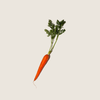 Dầu cà rốt Carrot oil ALQ47