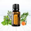 Hỗn hợp tinh dầu giải độc gan Zendocrine® (TDHH25)