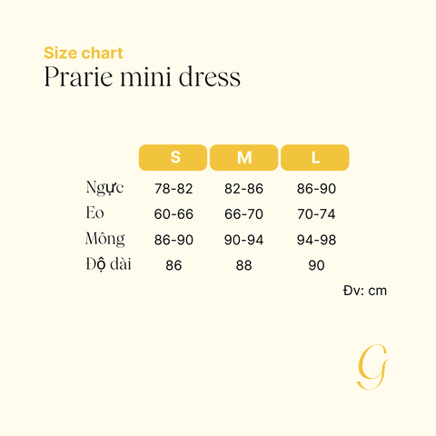 Prairie mini dress