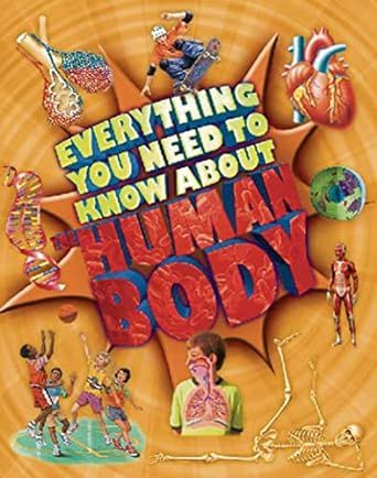 Everything You Need To Know About: The Human Body