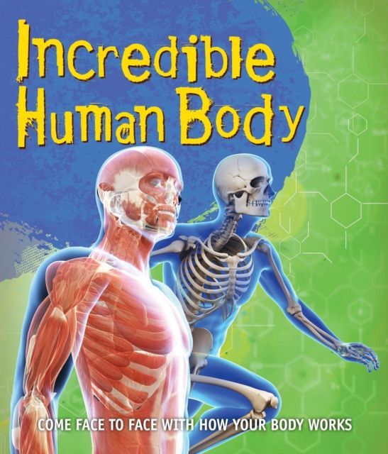 Fast Facts Incredible Human Body