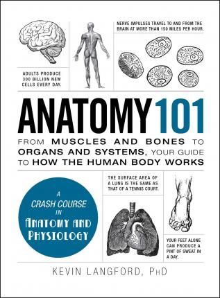 Anatomy 101: From Muscles and Bones to Organs and Systems,