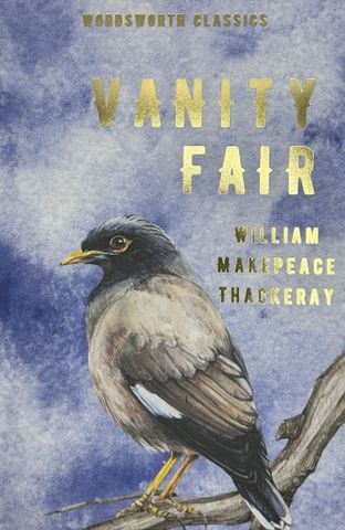  Vanity Fair 