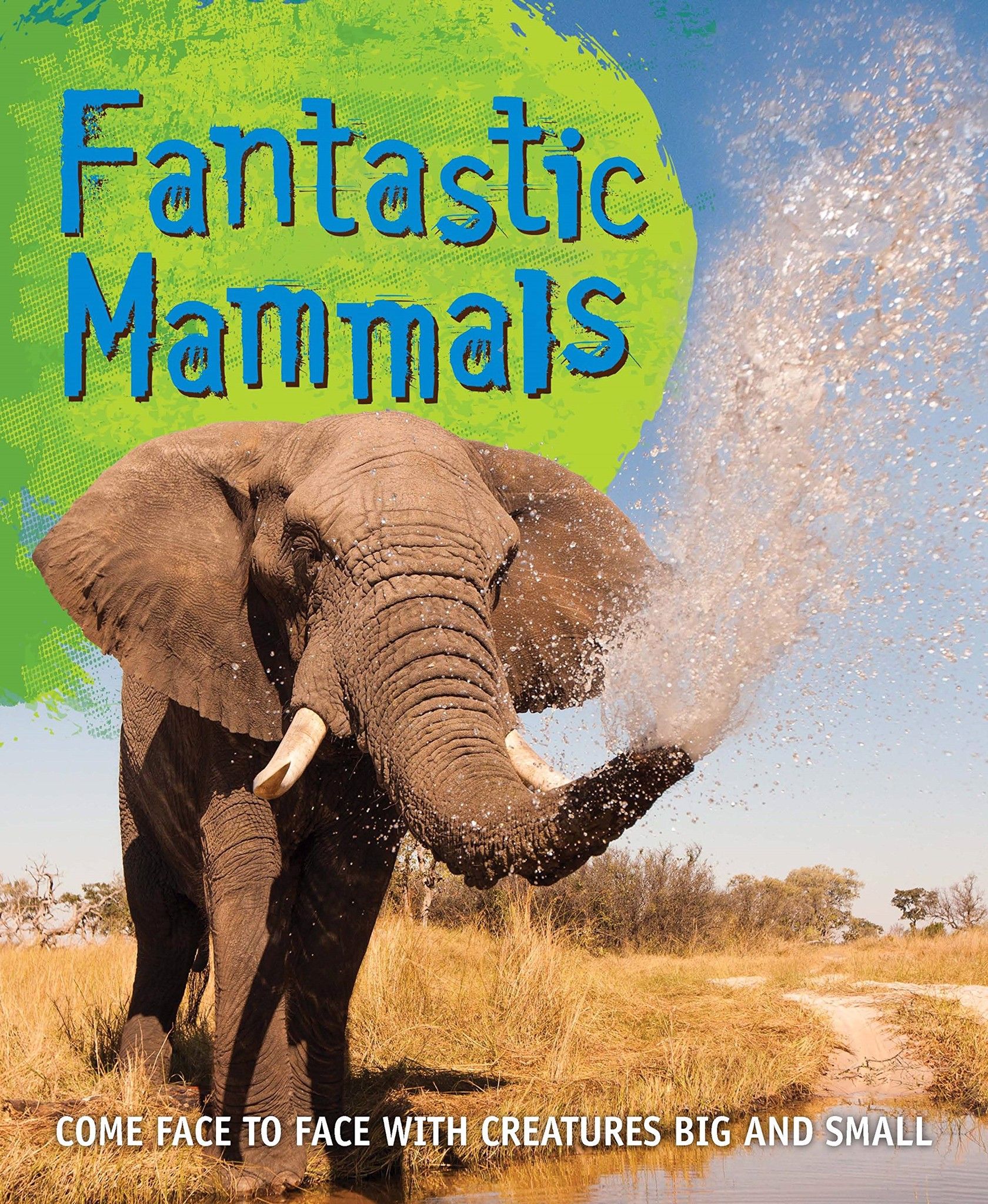 Fast Facts Fantastic Mammals