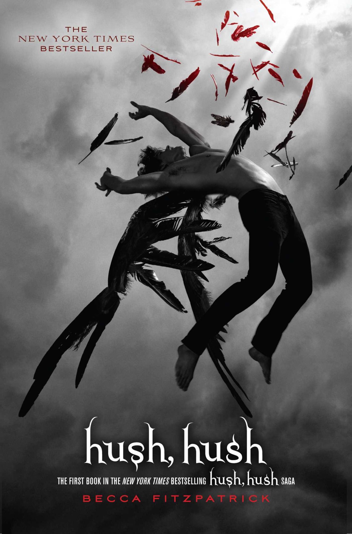 Hush, Hush saga 1: Hush, Hush