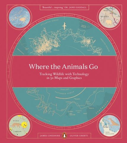  Where The Animals Go 