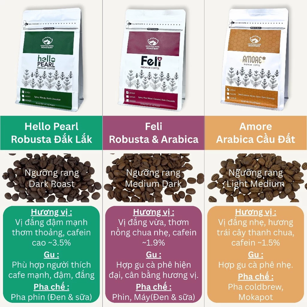  Cà Phê AMORE - Cà Phê Mỗi Sáng 