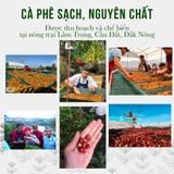  Phễu Lọc Cà Phê Hario V60 Nhựa Trong, Dụng pha cafe lọc giấy từ HARIO, giúp cà phê nhẹ nhàng - Mountain Pearl Roastery 