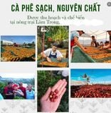  Cà phê rang xay nguyên chất FELI thơm quyến rũ, hậu ngọt đắng đậm, dùng pha phin, pha máy từ Mountain Pearl Roastery 