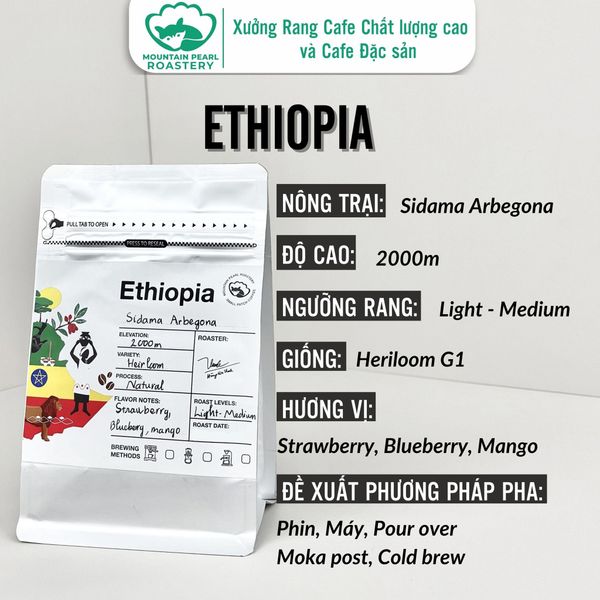  Cà Phê Đặc Sản Ethiopia Sidama Arbegona Vị Strawberry, Blueberry, Mango - Mountain Pearl Roastery Coffee 