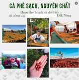  [BẢN 2021] Dụng Cụ Pha Cà Phê, Espresso Cầm Tay STARESSO BASIC kèm cốc thuỷ tinh - Mountain Pearl Roastery 