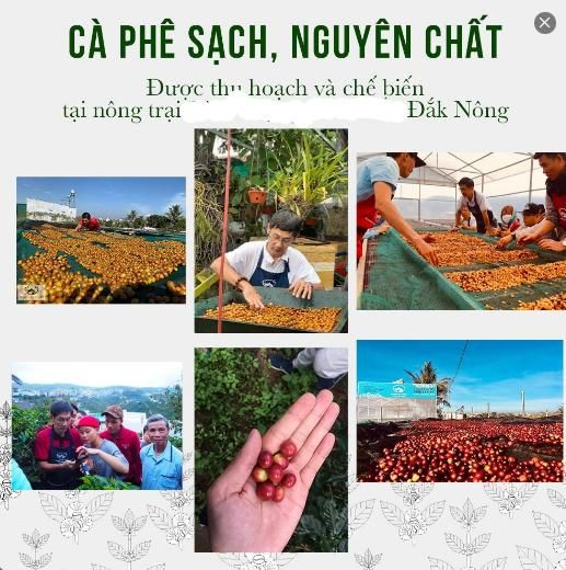  [BẢN 2021] Dụng Cụ Pha Cà Phê, Espresso Cầm Tay STARESSO BASIC kèm cốc thuỷ tinh - Mountain Pearl Roastery 