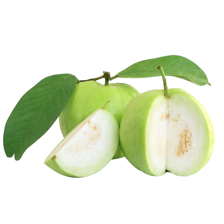 Đặc Sản Ổi Nữ Hoàng Trái To Giòn Ngọt Ít Hạt